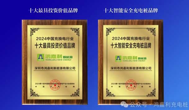 匠心致遠(yuǎn)，載譽(yù)前行：2024年鴻嘉利新能源榮獲充換電十大品牌獎！(圖5)
