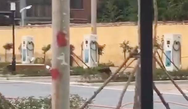 駐馬店市公共停車場充電站.jpg